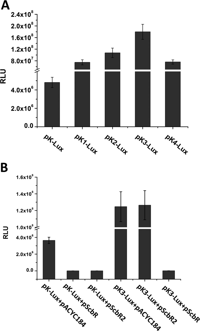 Fig 2