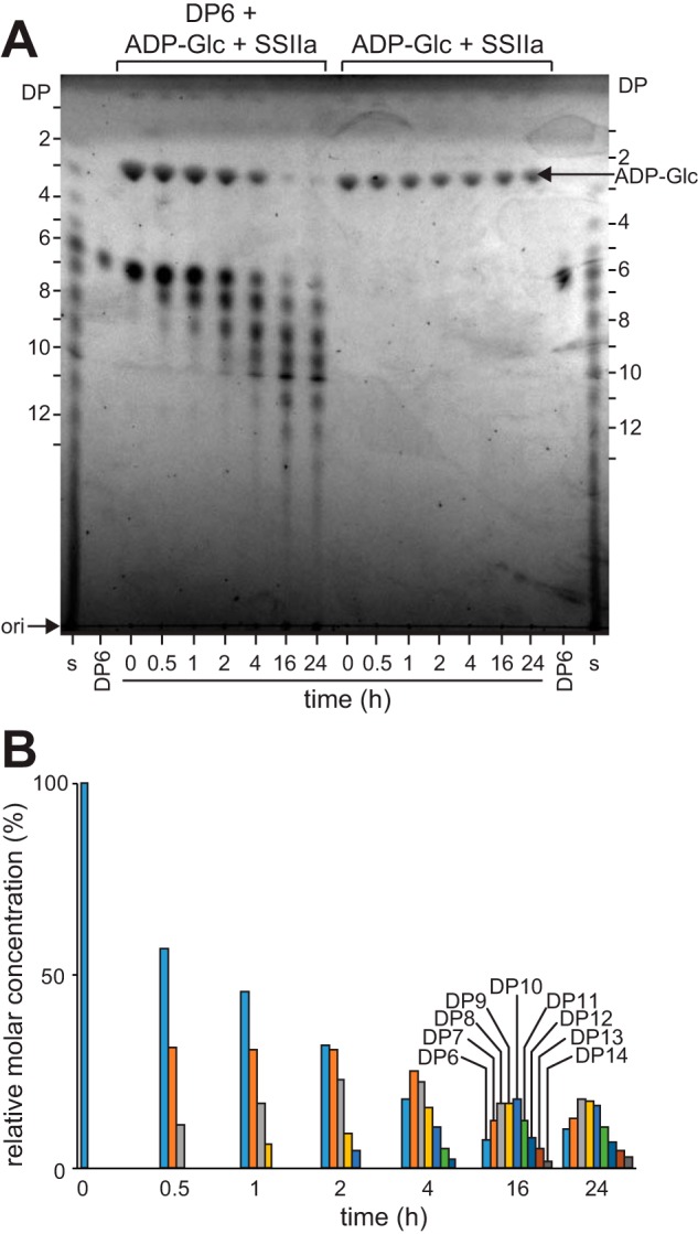 FIGURE 4.