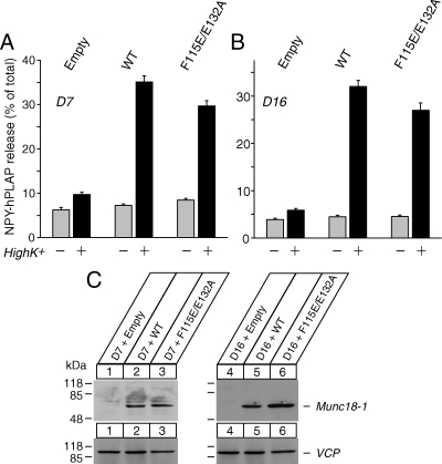 Figure 11.