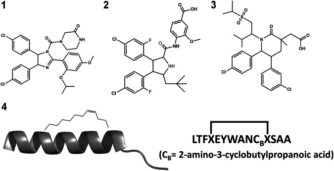 FIGURE 3