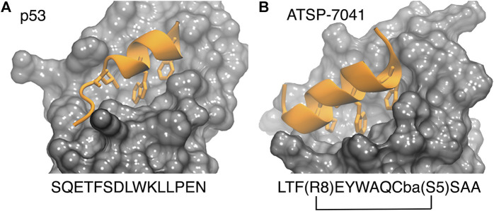 FIGURE 2