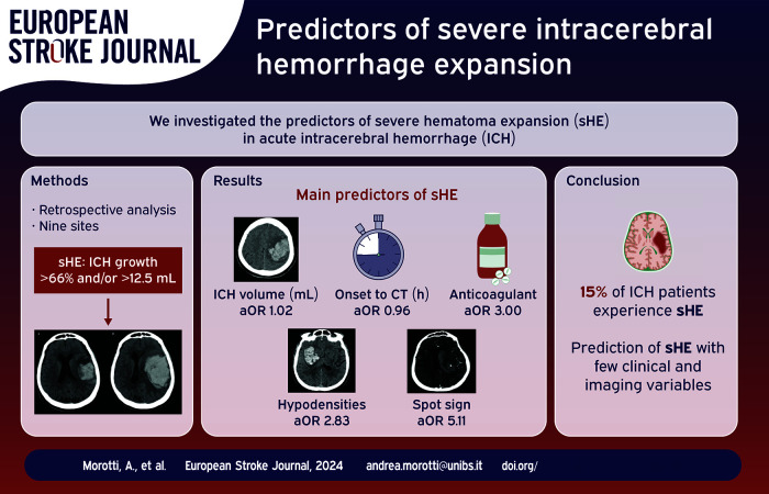 Graphical abstract