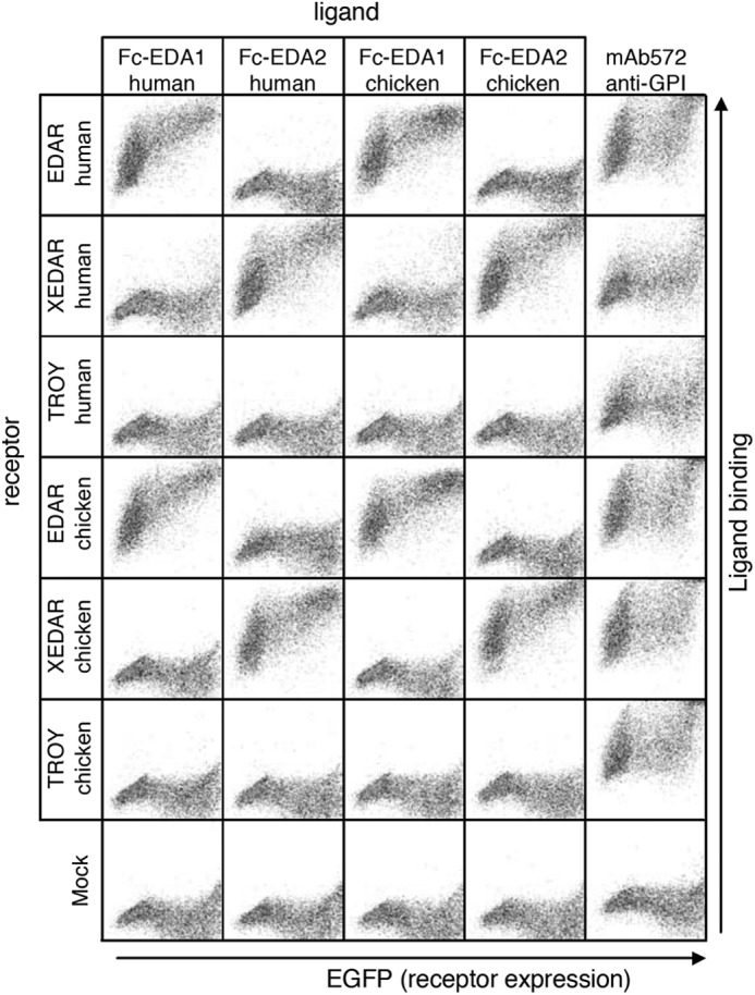 FIGURE 6.