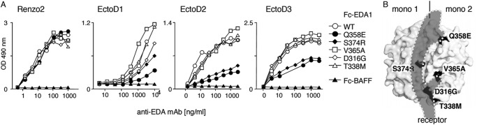 FIGURE 4.