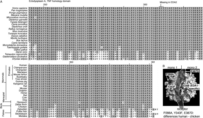 FIGURE 7.