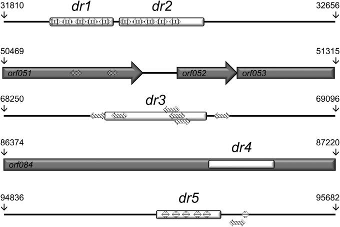 FIG 5