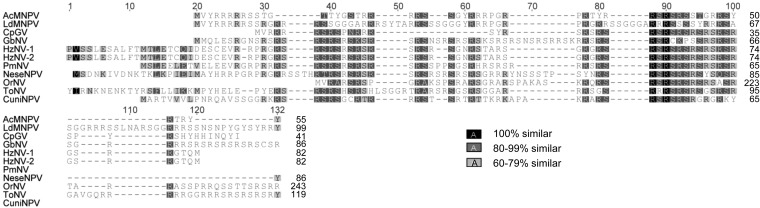 FIG 6