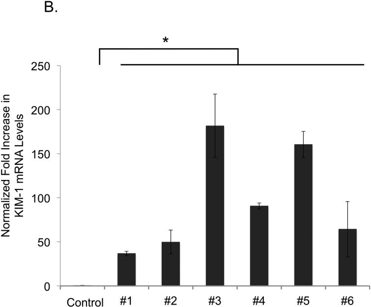 Figure 3B