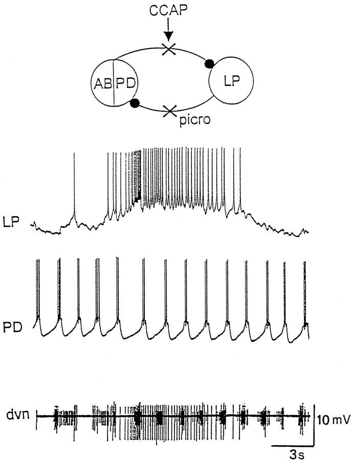 Fig. 9.