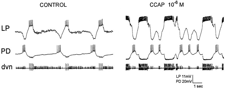 Fig. 8.