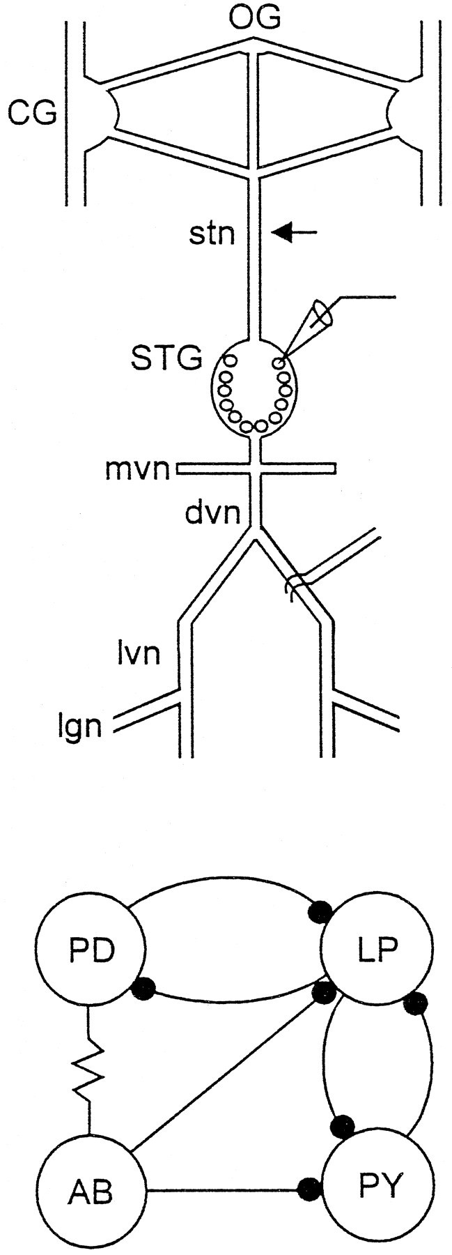 Fig. 1.