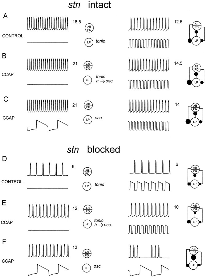 Fig. 10.