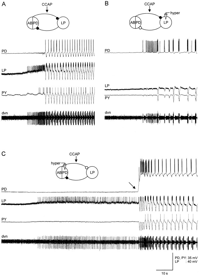 Fig. 6.