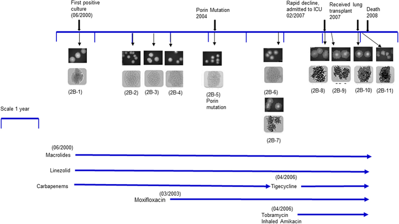 Figure 2.