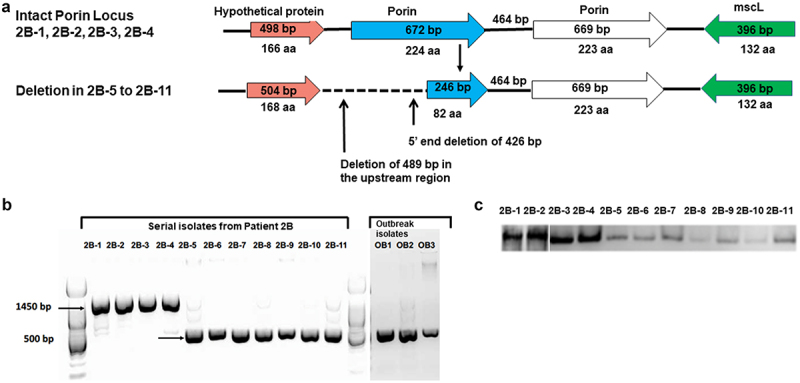 Figure 5.