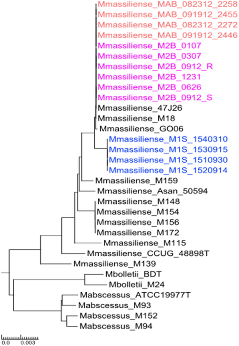 Figure 3.