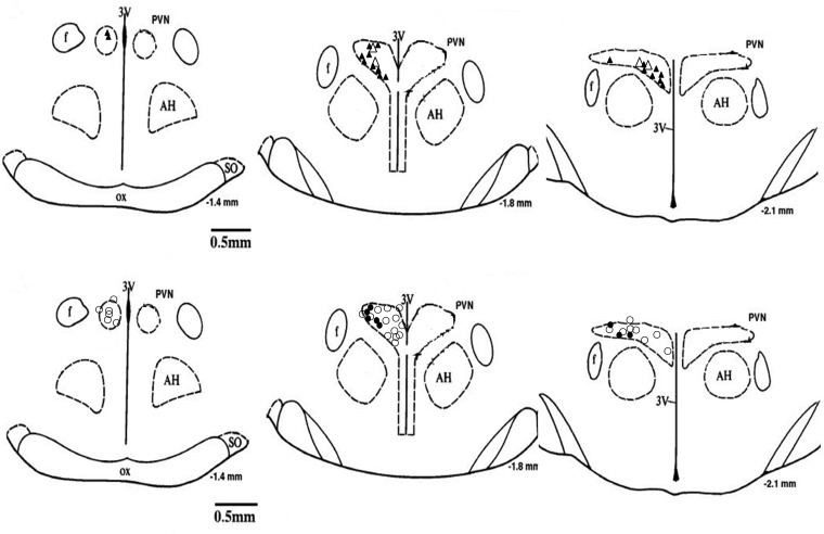 Fig. 8.