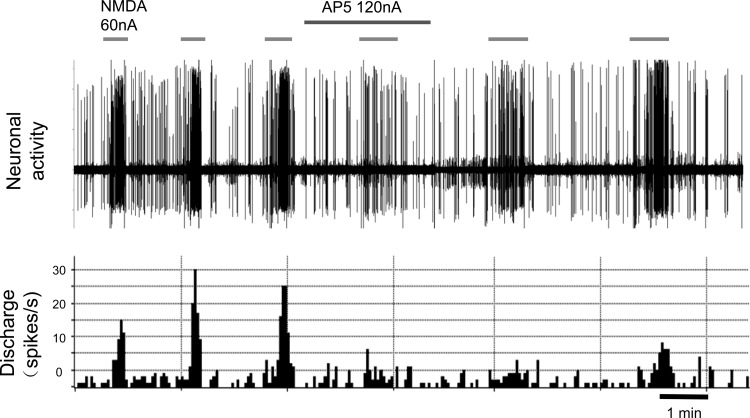 Fig. 6.