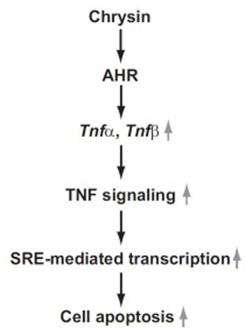 Fig.9