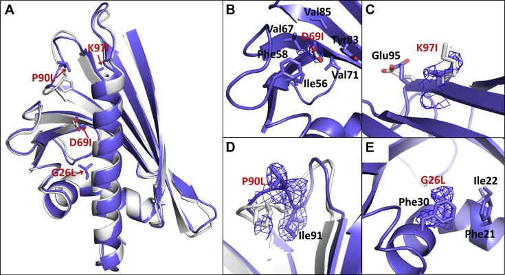 Fig 1