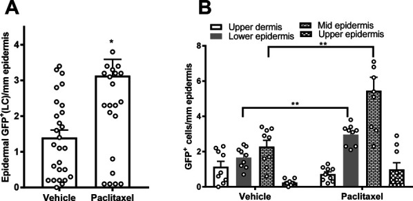 Figure 11.