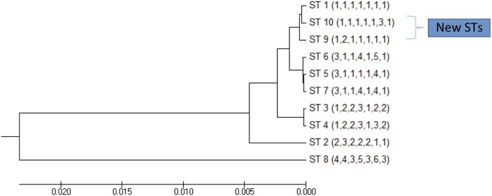 Fig 2