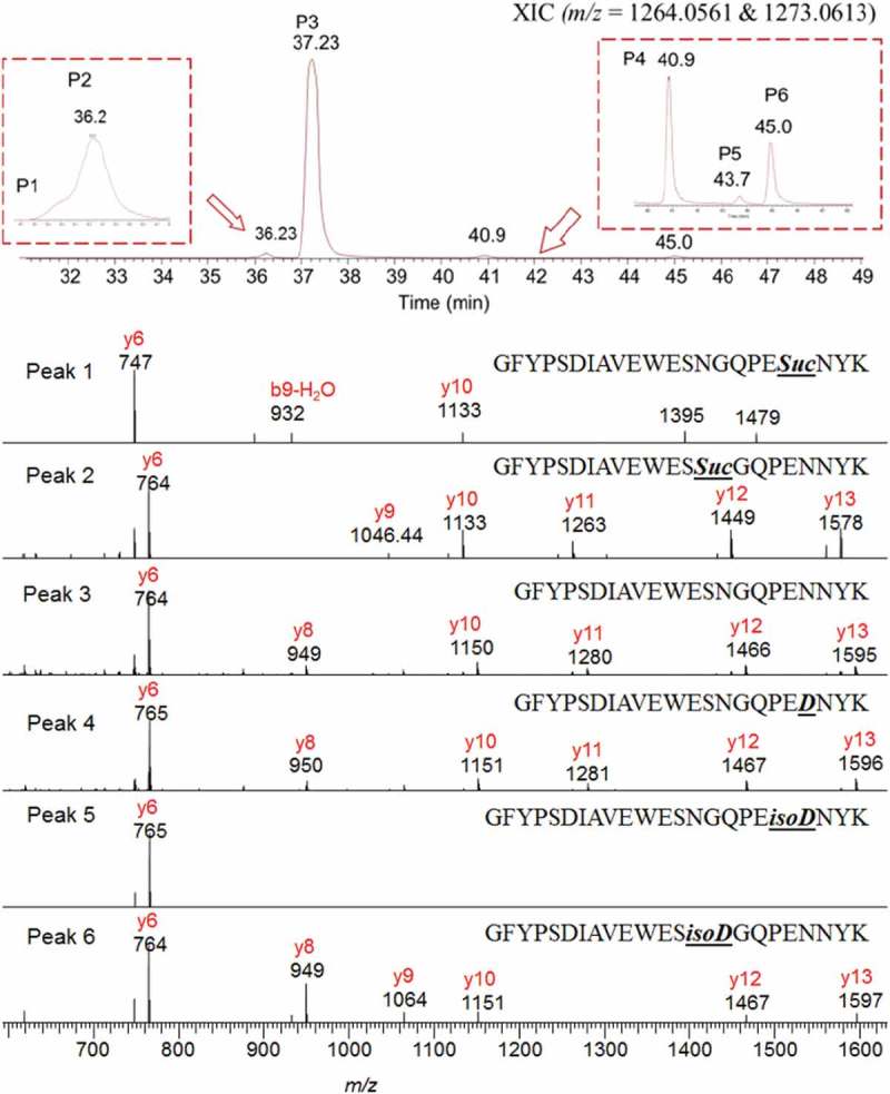 Figure 5.