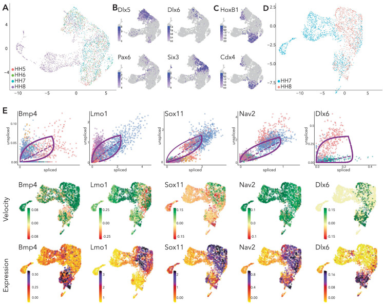 Figure 5—figure supplement 1.