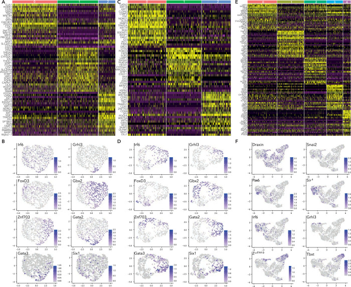 Figure 2—figure supplement 1.