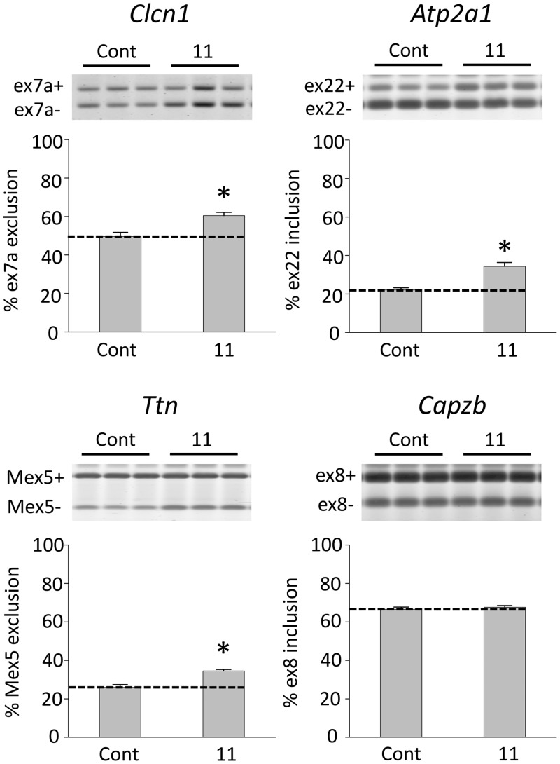 Figure 7.