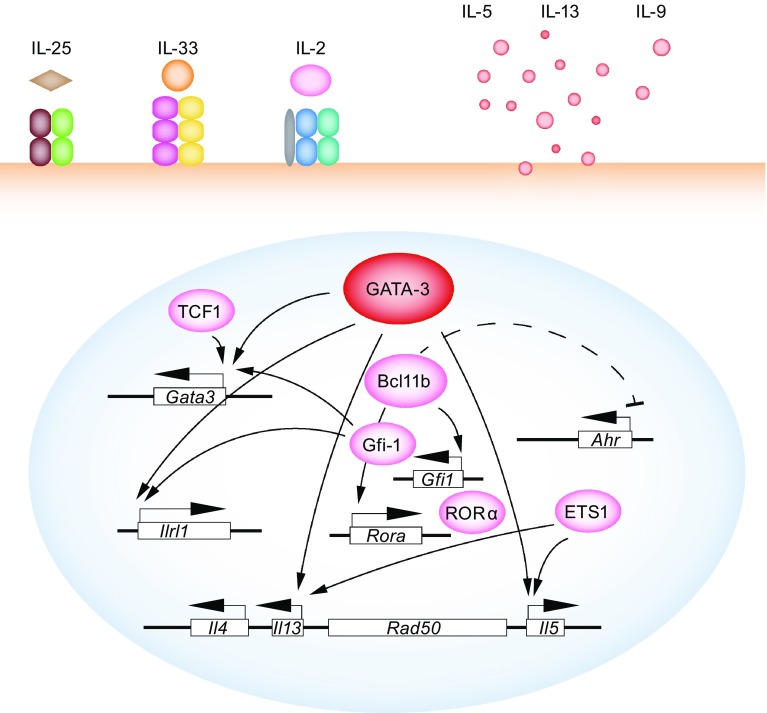 Figure 2