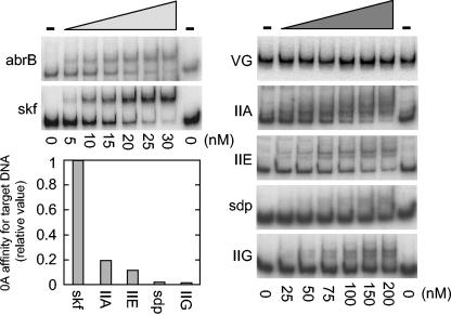 FIG. 6.