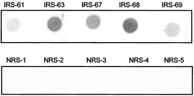 FIG. 9.