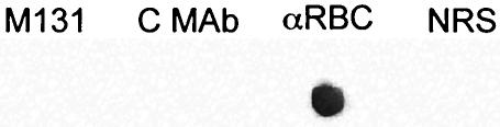 FIG. 8.