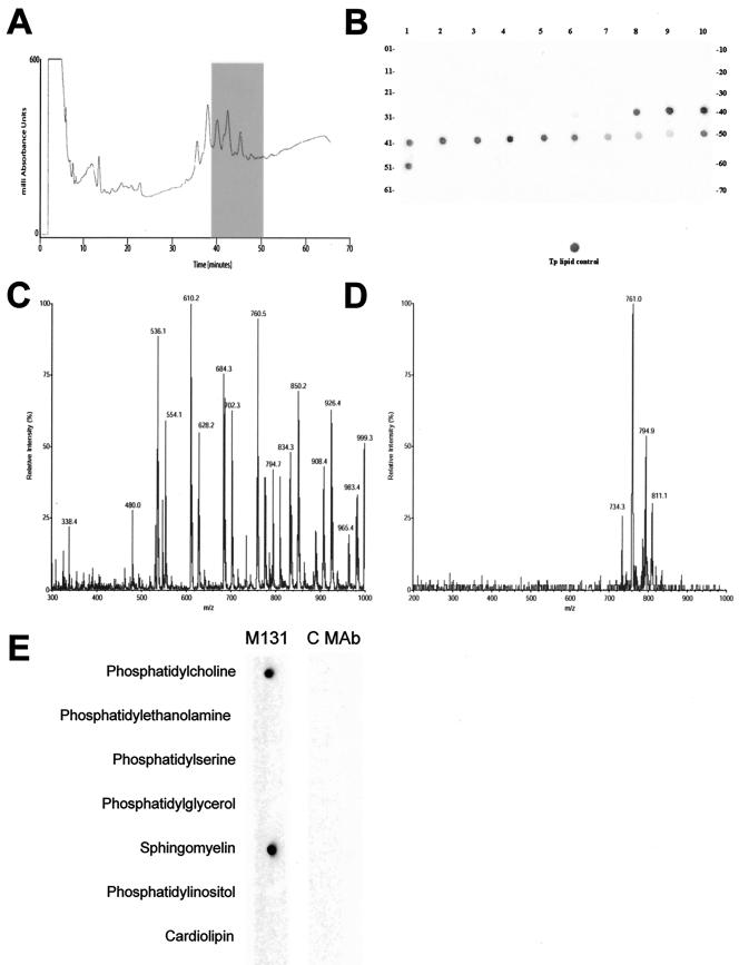 FIG. 6.