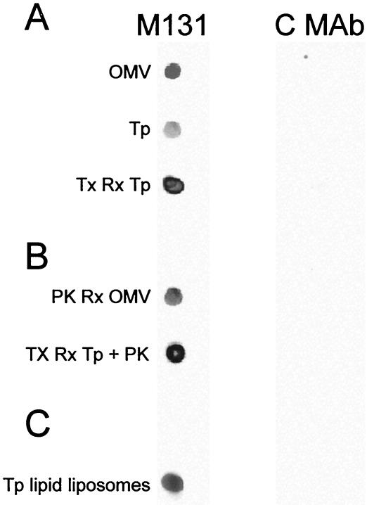 FIG. 5.