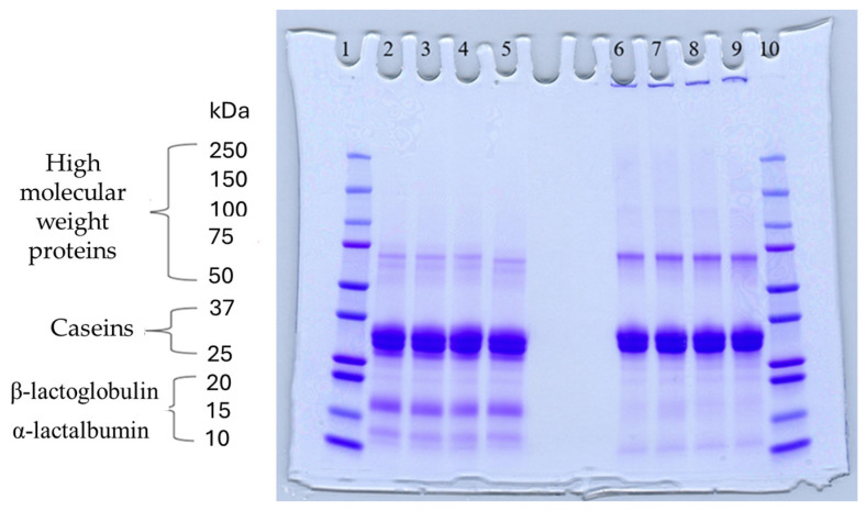 Figure 10