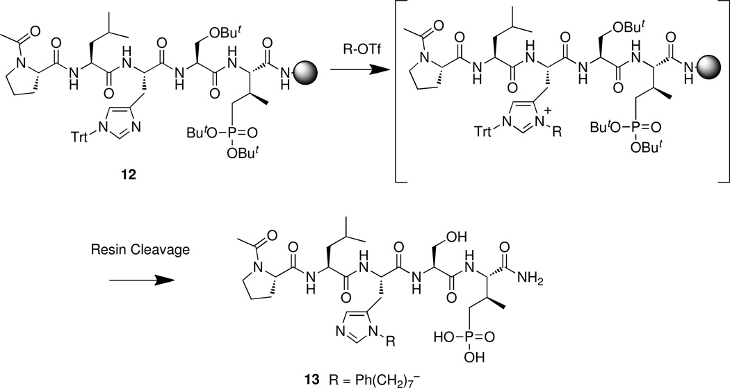 Scheme 3