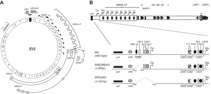 FIG 2