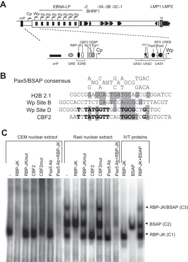 FIG 1