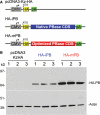 Figure 2.