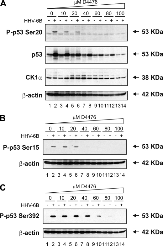 FIGURE 11.