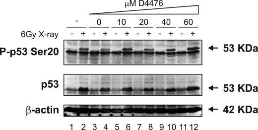 FIGURE 12.