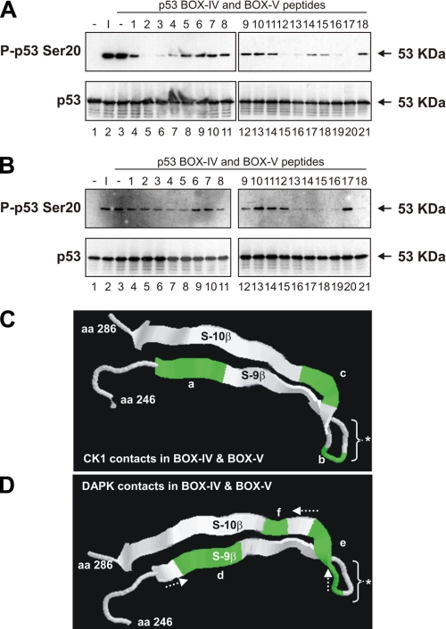 FIGURE 10.