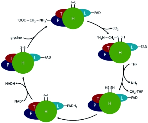 Figure 4: