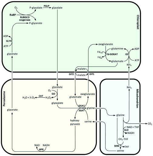 Figure 3.