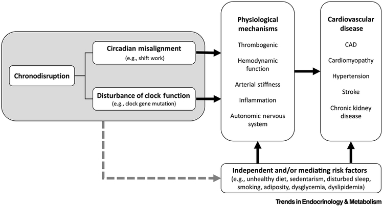 Figure 4: