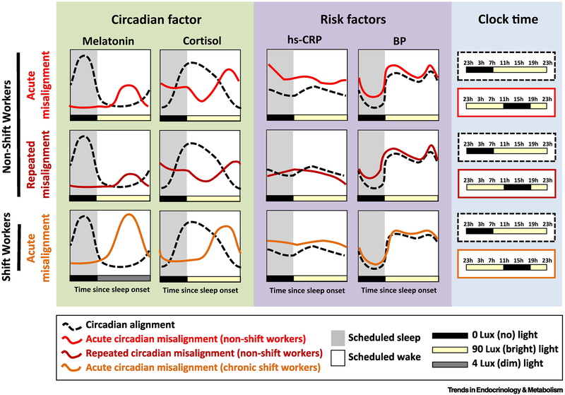 Figure 3: