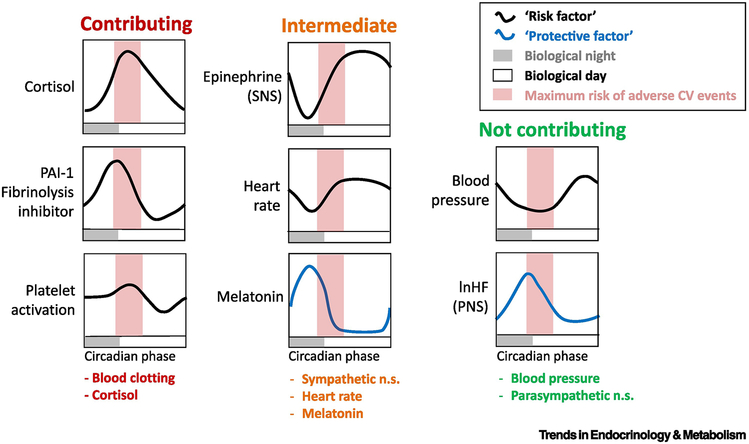 Figure 2: