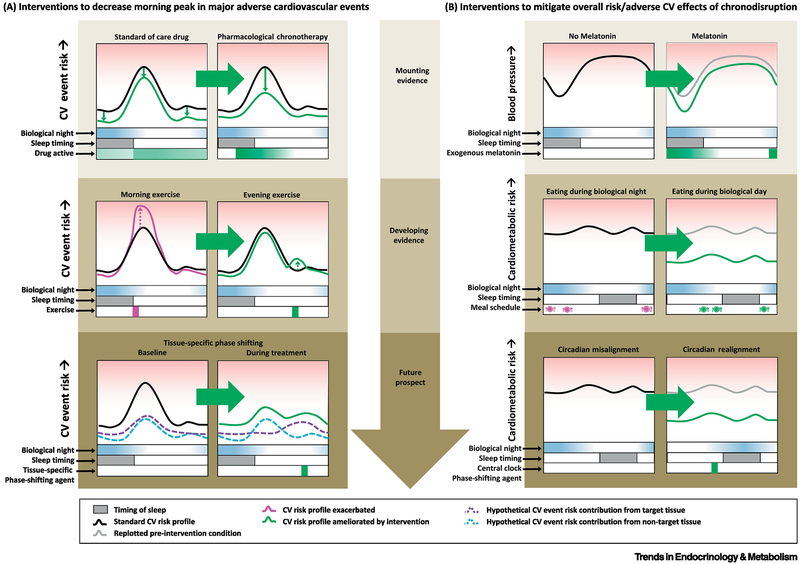 Figure 5: